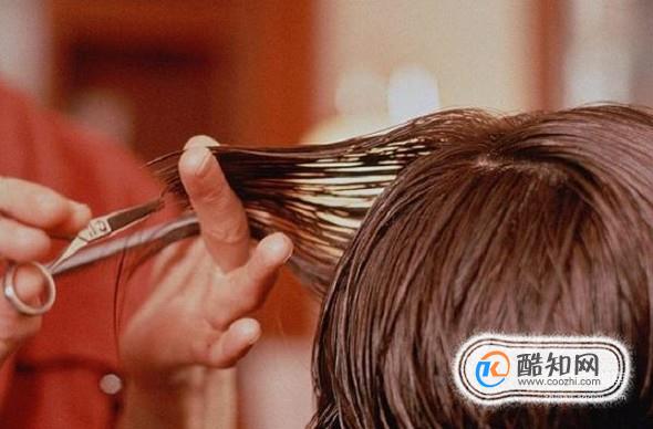 ��������ӵ��һͷ������ͷ������